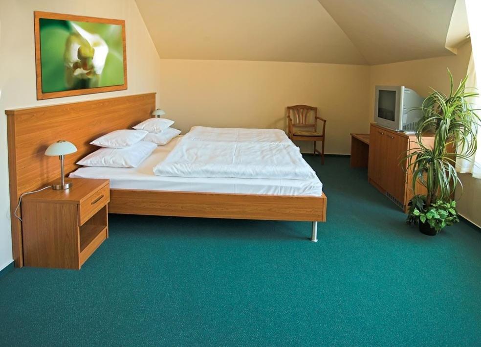 Promedicum Panzio Hotell Veszprém Rum bild