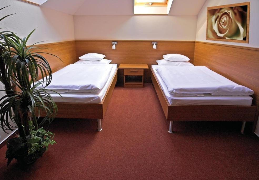 Promedicum Panzio Hotell Veszprém Rum bild